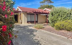 Lacey'S Holiday House